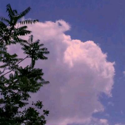 果玩游戏无双剑心官方